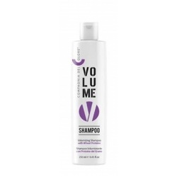 volume_shamp