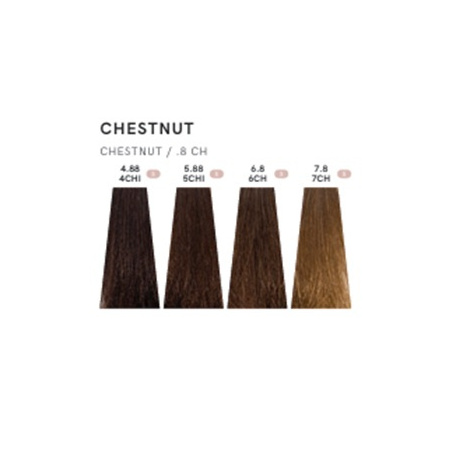 chestnut_1573589651
