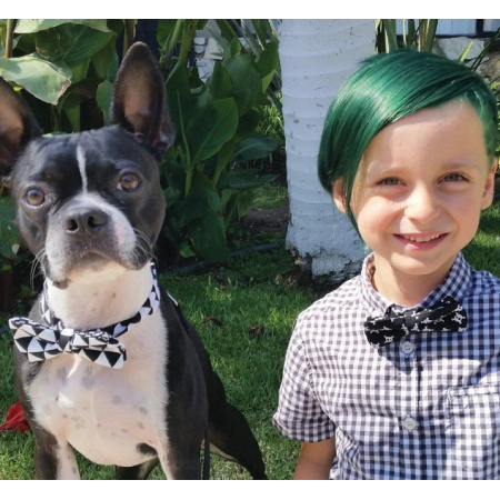 green_envy_3_1696663355