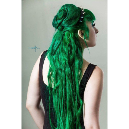 green_envy_5_212524064